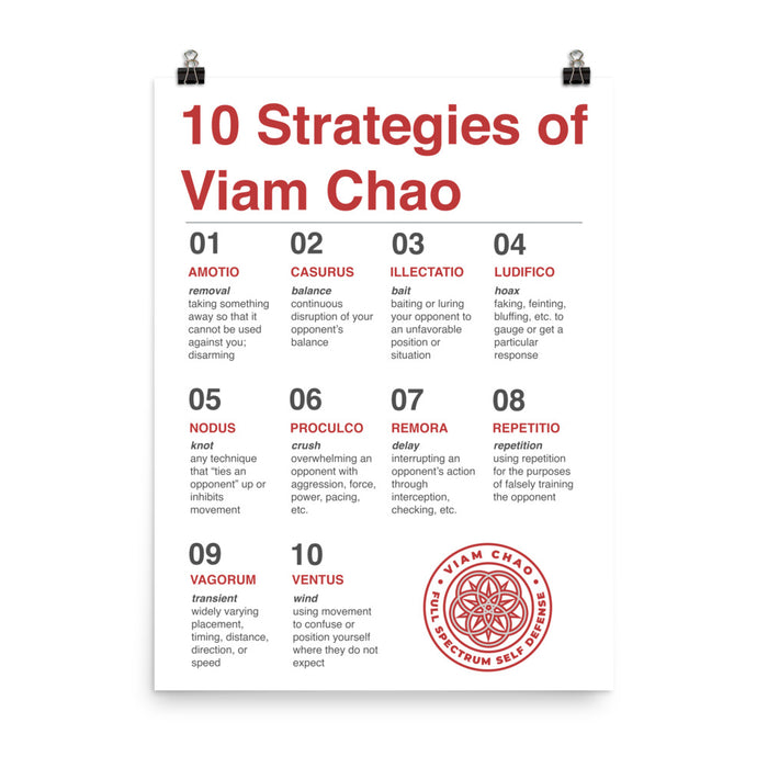 Viam Chao Strategies Poster